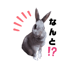 [LINEスタンプ] うさぎのうーやんとおともだちスタンプ