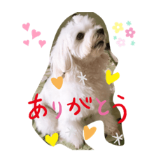 [LINEスタンプ] 風くん、ゆめちゃん