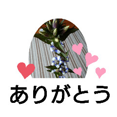 [LINEスタンプ] thieri-3