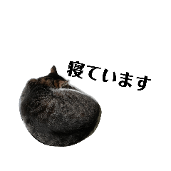 [LINEスタンプ] イヤそうなももちゃん