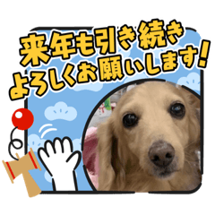 [LINEスタンプ] 新春号スミレちゃんスタンプ