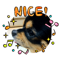 [LINEスタンプ] こたろう！れんたろう！そして、あつ！
