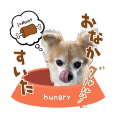 [LINEスタンプ] ルシェル、エンジェル、リアムのスタンプ