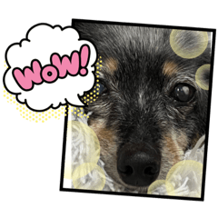 [LINEスタンプ] ビビラブ