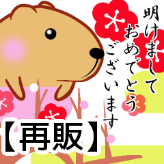 [LINEスタンプ] きゃぴばら【年末年始再販】