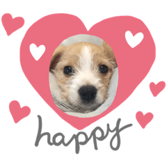 [LINEスタンプ] mix犬❤️めるも❤️