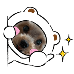 [LINEスタンプ] ヨーキー好き5