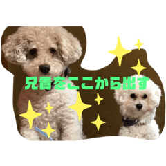 [LINEスタンプ] ナラファミリー30