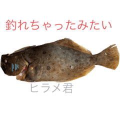 [LINEスタンプ] 釣れちゃったみたいの画像（メイン）