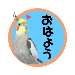 [LINEスタンプ] 小鳥好きの スタンプ