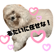 [LINEスタンプ] ナラファミリー28