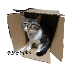 [LINEスタンプ] るるららスタンプ その2