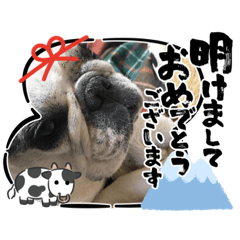 [LINEスタンプ] アレク犬2021新年ご挨拶version