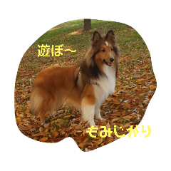 [LINEスタンプ] 麦茶2