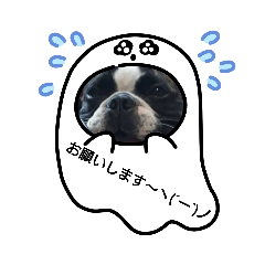 [LINEスタンプ] フレブルモーⅦ