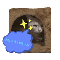 [LINEスタンプ] みるくここあ！のスタンプ8