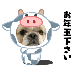 [LINEスタンプ] お年玉狙いブラザーズ