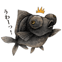 [LINEスタンプ] ペン画の金魚LINEスタンプ