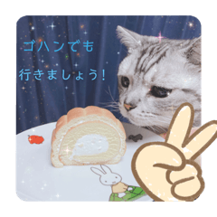 [LINEスタンプ] にゃん。にゃん。にゃん。