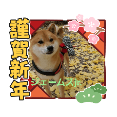 [LINEスタンプ] 柴犬ジェームスjr.6