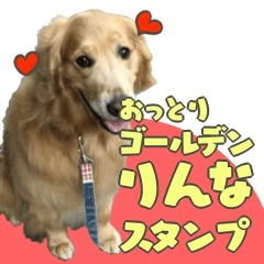 [LINEスタンプ] おっとりゴールデンりんな