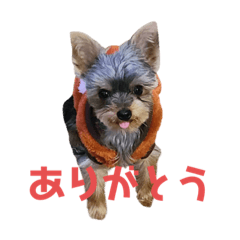 [LINEスタンプ] わらび(341)