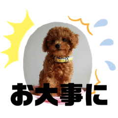 [LINEスタンプ] ショコラ(333)