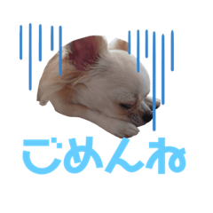 [LINEスタンプ] ヒメ(335)