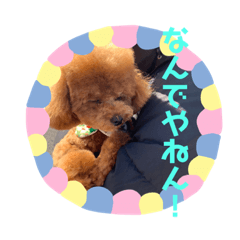 [LINEスタンプ] モモ(336)