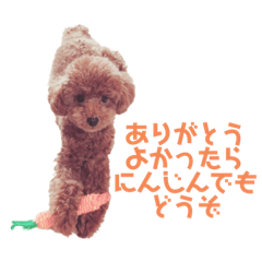 [LINEスタンプ] チャーリー(337)