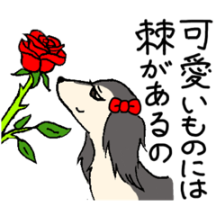 [LINEスタンプ] お嬢なサルーキ様