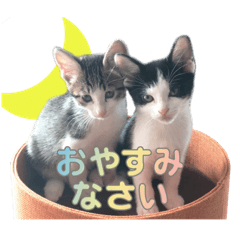 [LINEスタンプ] ビビ＆カカ 2