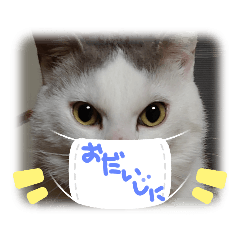 [LINEスタンプ] メロとネロ②