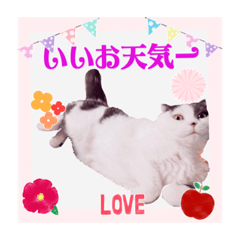 [LINEスタンプ] スコてん2
