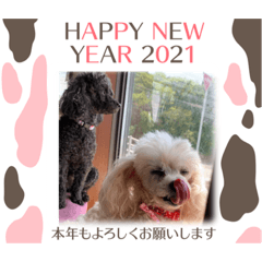 [LINEスタンプ] シャロンにおる犬2