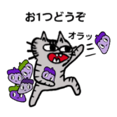 [LINEスタンプ] 猫のムサシだよ