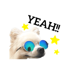 [LINEスタンプ] エルくんスタンプ ④