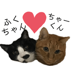 [LINEスタンプ] ふくちゃん♡ちゃーくん