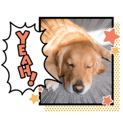 [LINEスタンプ] 愉快な怜央39