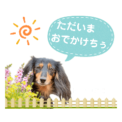 [LINEスタンプ] ミニチュアダックスの気ままなランチ⑦