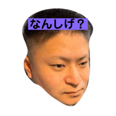 [LINEスタンプ] こーでぃーだお