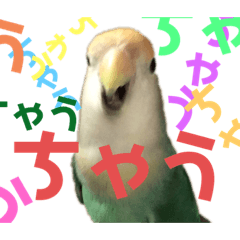 [LINEスタンプ] うちのもも知りませんか？ 〜関西弁Ver〜