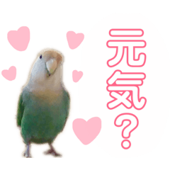 [LINEスタンプ] うちのもも知りませんか？ 〜3〜