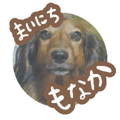 [LINEスタンプ] 16. ココ