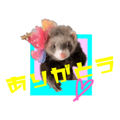[LINEスタンプ] ぴの スタンプ