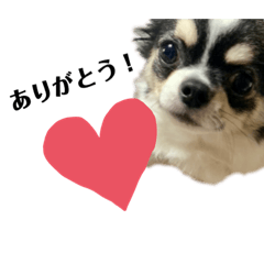 [LINEスタンプ] 小梅ちゃんスタンプです！
