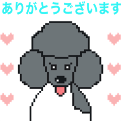 [LINEスタンプ] パーティーカラープードル 敬語挨拶