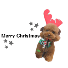 [LINEスタンプ] クリスマス.お正月