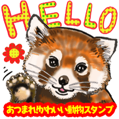 [LINEスタンプ] あつまれ！かわいい動物スタンプ