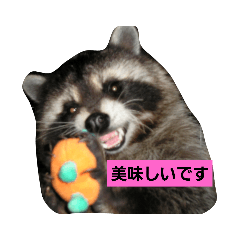 [LINEスタンプ] Animals in my home